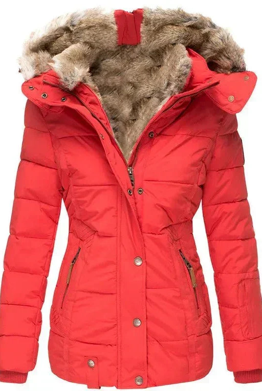 Celinda Winter Coat | Insulated, Tailored Fit, Mid-Length 4