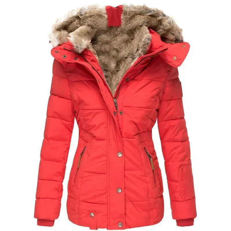 Celinda Winter Coat | Insulated, Tailored Fit, Mid-Length 4