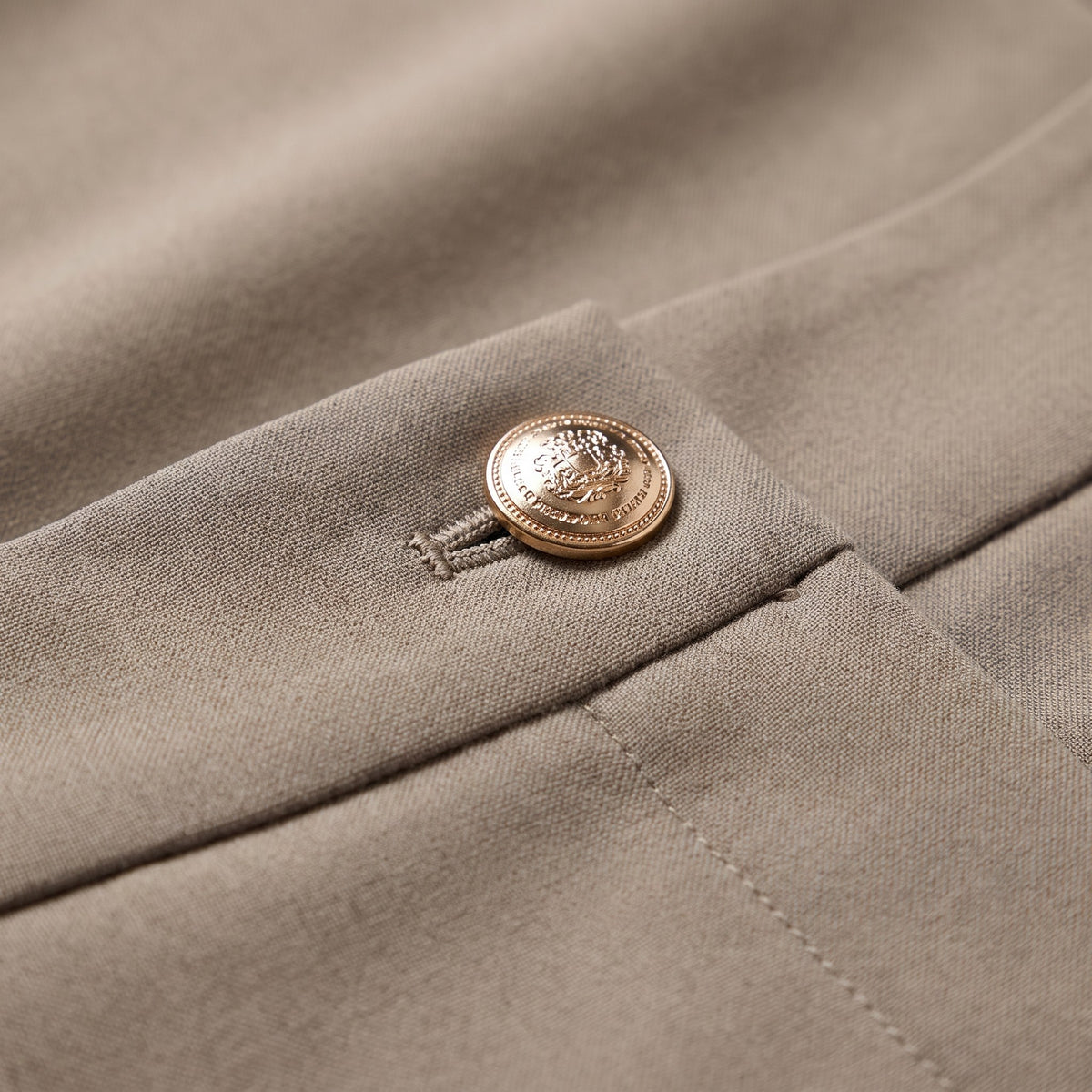 Valdis pleated wide leg trousers detail, gold button and smooth suiting fabric close-up